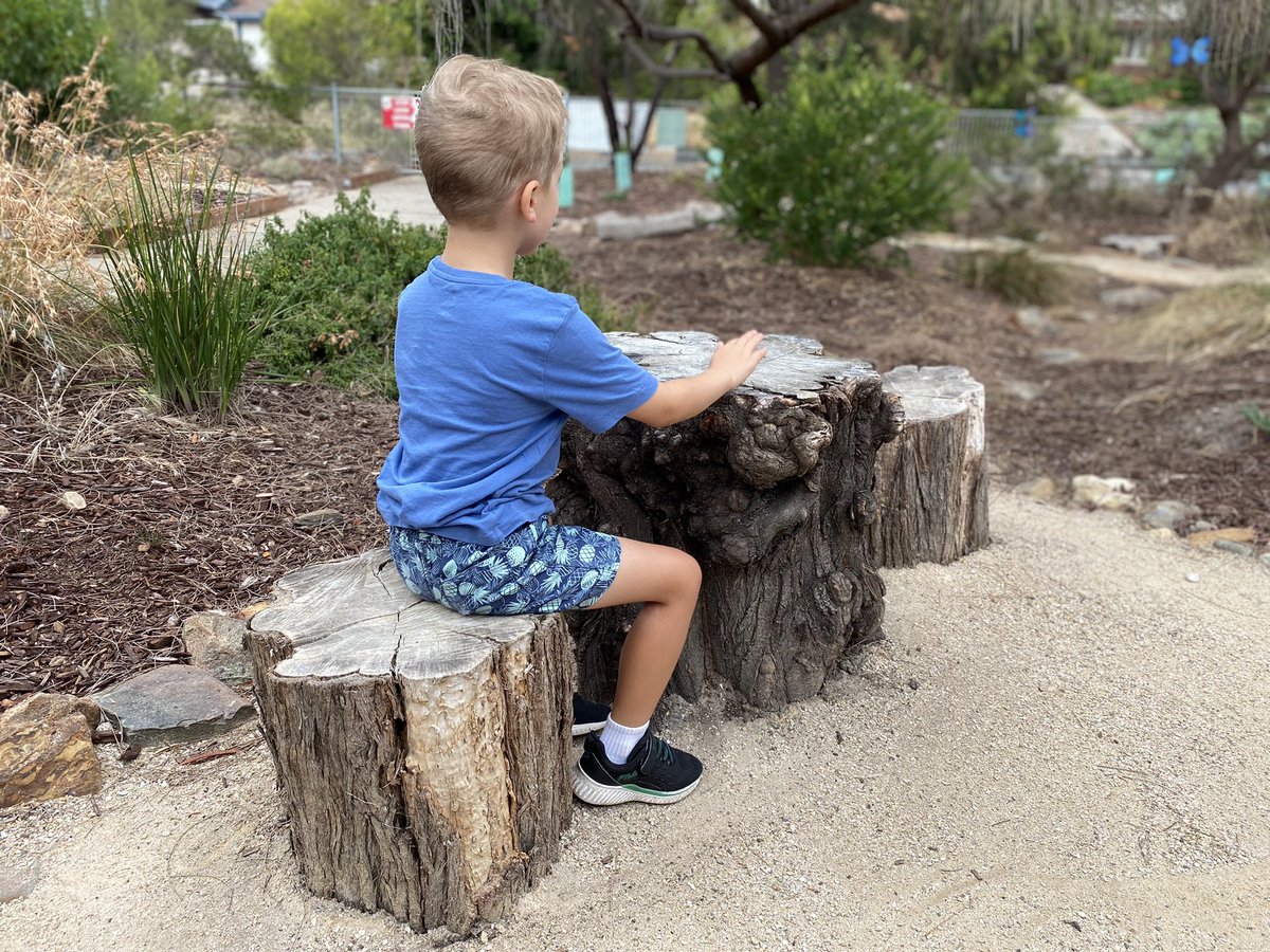 Arbay38's tweet image. Almost a year later, our @ProjReimaginate outdoor classroom is going strong.

#ProjectReimaginate