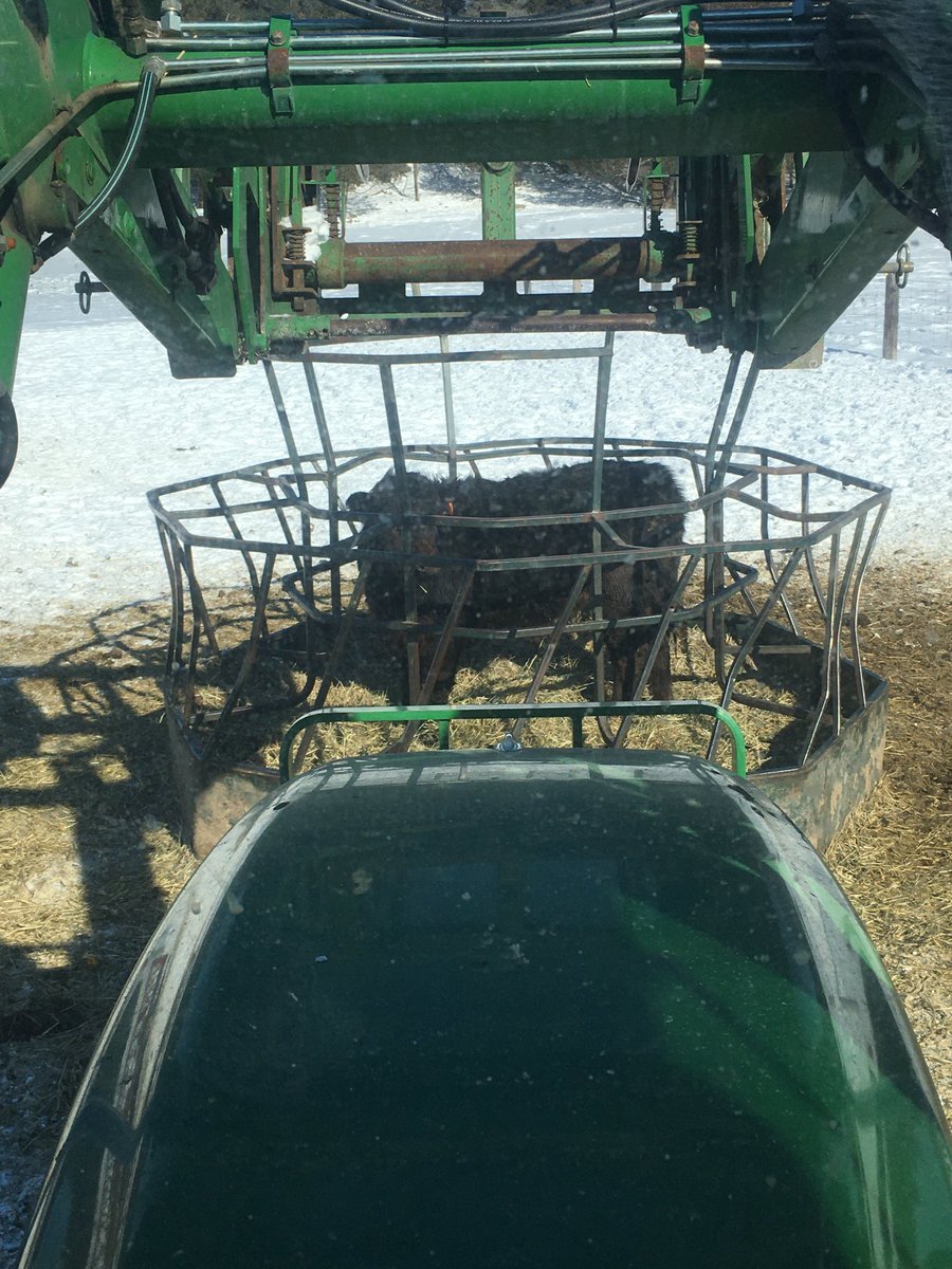 Not sure how he made it inside.. had to lift it up to release him!