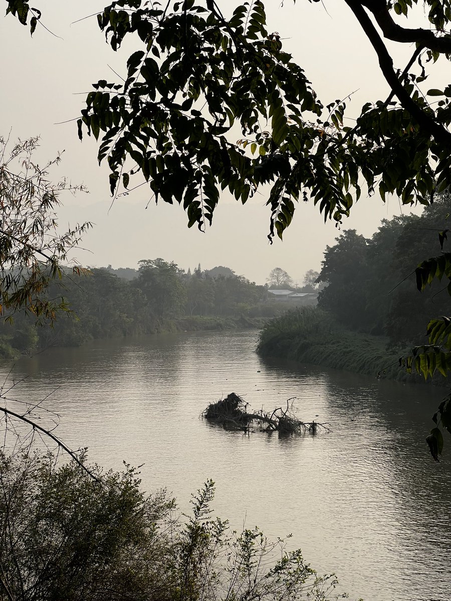 elehelp's tweet photo. Fallen tree gauge in the #Ruak shows water level rising in what is definitely the #DrySeason as predicted by @MekongMonitor in case there was any doubt the level of the #Mekong & tributaries is totally controlled by a #Dam 250km upstream. #ChiangSaen #MekongBasin https://t.co/ZQwwLpwsZ7