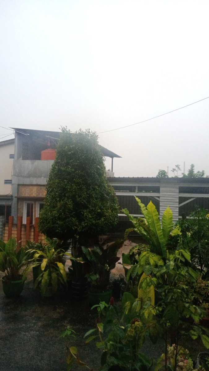 m4nusiaaaa's tweet photo. Rain on birthday. https://t.co/hWMDOnNkXK