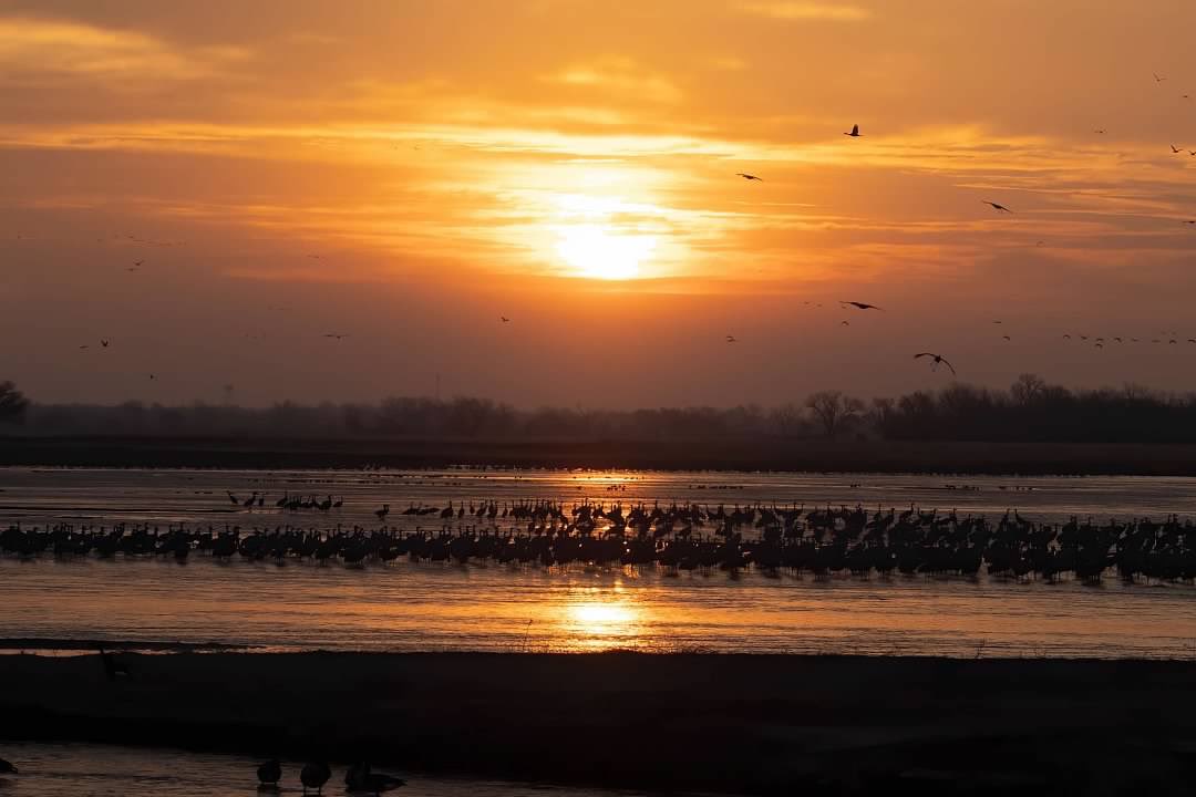 cchilders64's tweet photo. You can’t beat a sunrise on the Platte in March! @NeblandMagazine @NebraskaTourism @VisitNeb @NEGameandParks @CraneTrustNVC https://t.co/z84WLGRC64