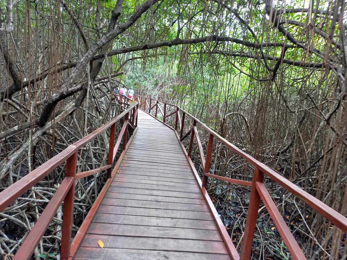 bismarmarin's tweet photo. Playa Soledad https://t.co/lDTueE1adA