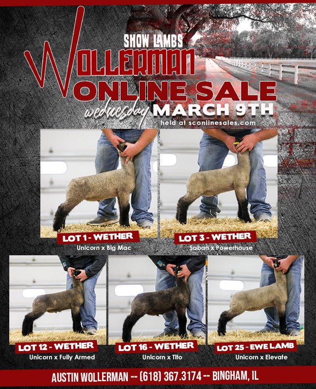 awollerman's tweet photo. Checkout  our sale set on SC! Or swing by the farm in the next few days. https://t.co/z3smDVjwVb