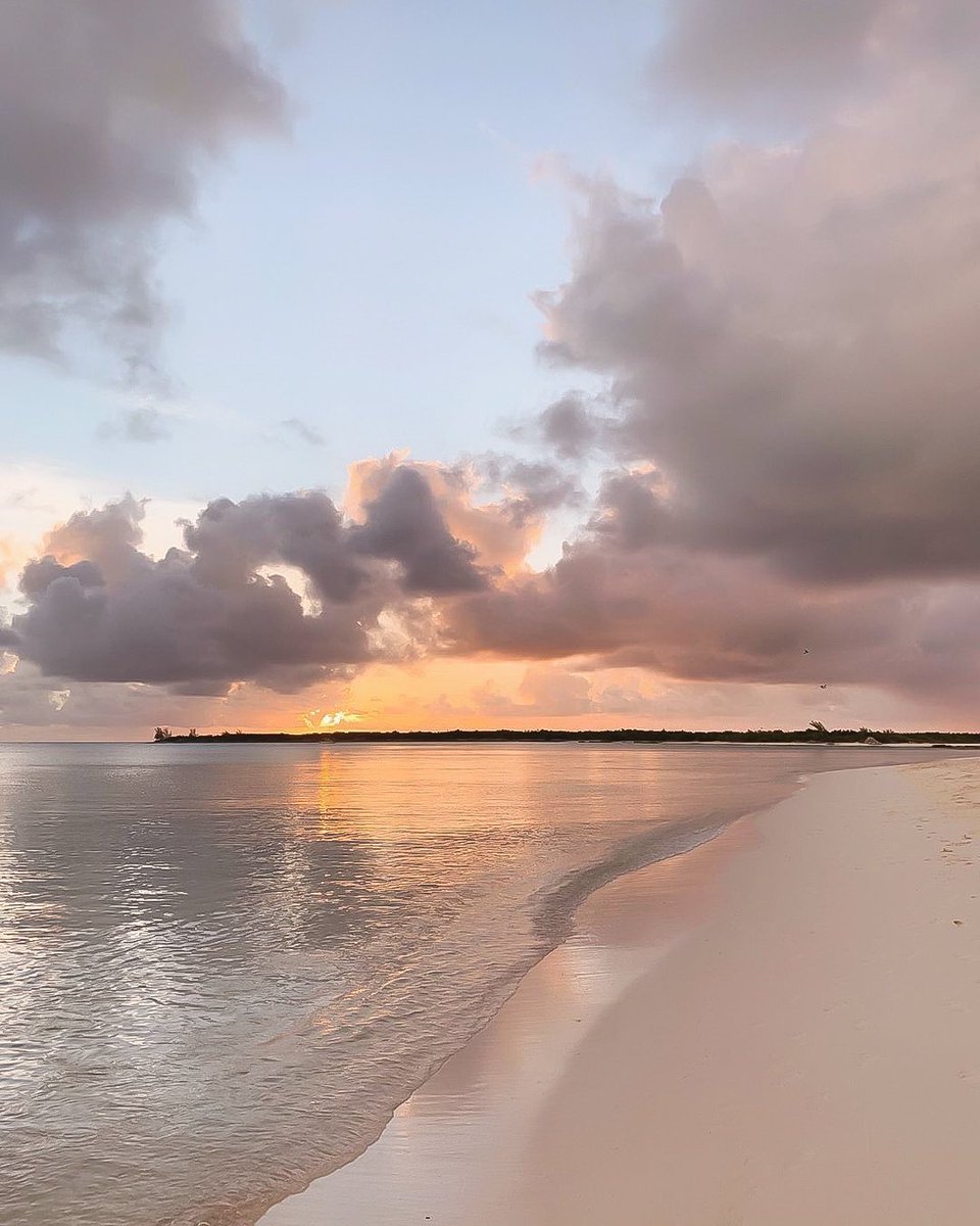 aestheticspost_'s tweet photo. Need to escape here https://t.co/VMeDEOMwSU
