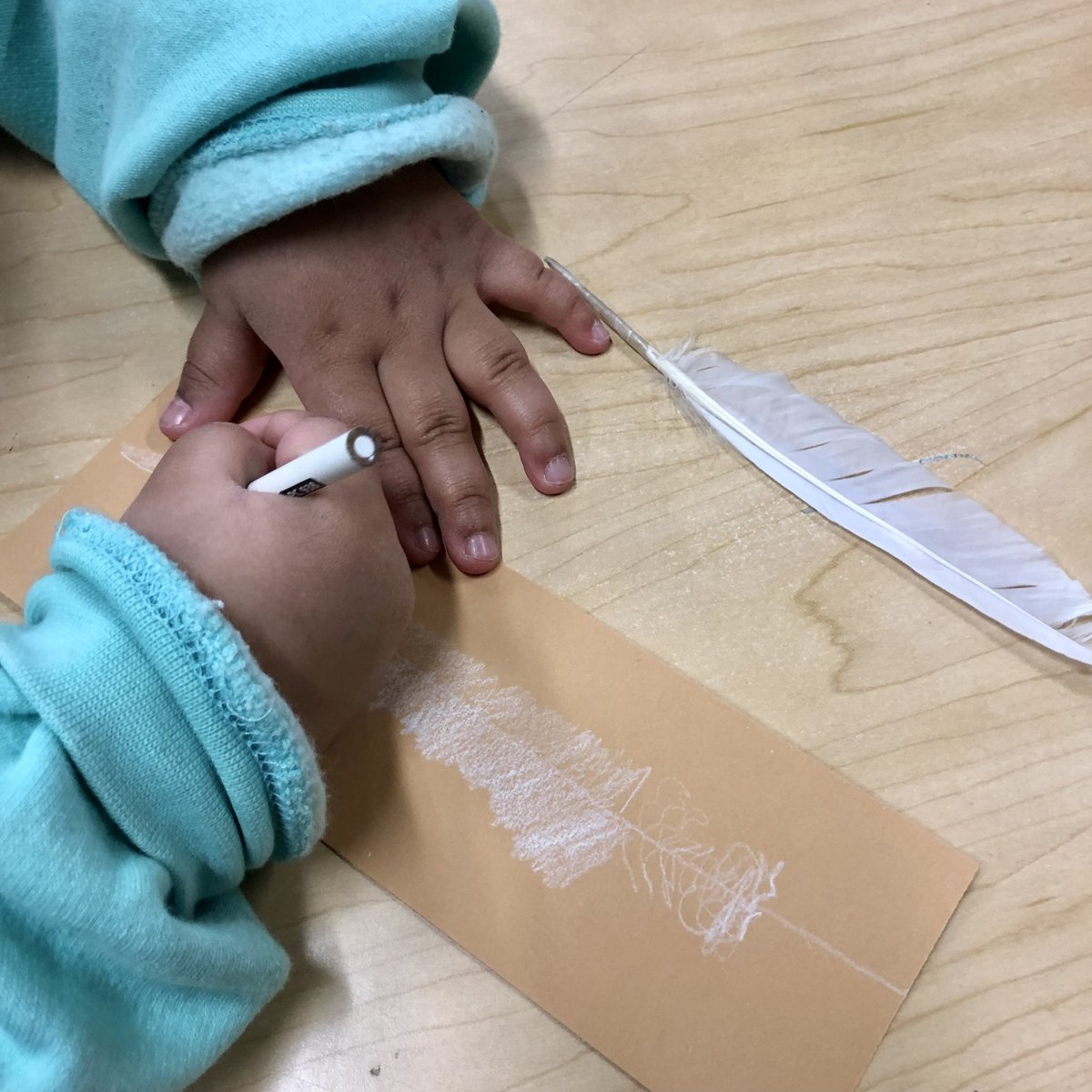 CaedmonArt's tweet photo. #CaedmonArt 
#CaedmonKindergarten
Drawing feathers as part of our SciArt (Science + Art) bird unit. 
#CaedmonCreativity
#TheCaedmonStory
#MontessoriArt https://t.co/14SYuREyDe
