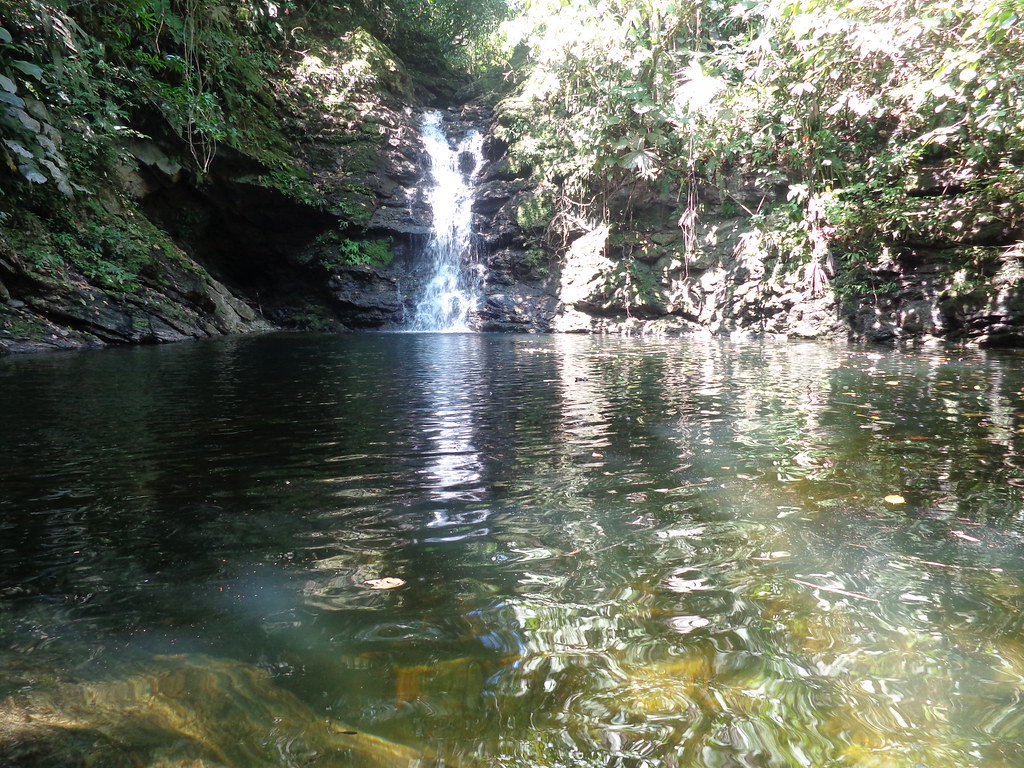CongopeEcuador's tweet photo. 🏖🏝 “El mundo es un libro y los que no viajan solo leen una página de él.”🏖🏝 
San Agustín  
Te invitamos a visitar la cascada los Laureles, ubicada en el cantón #Quinindé. 
#turismo #Cascadas #downfalls https://t.co/WITIjK7eOC