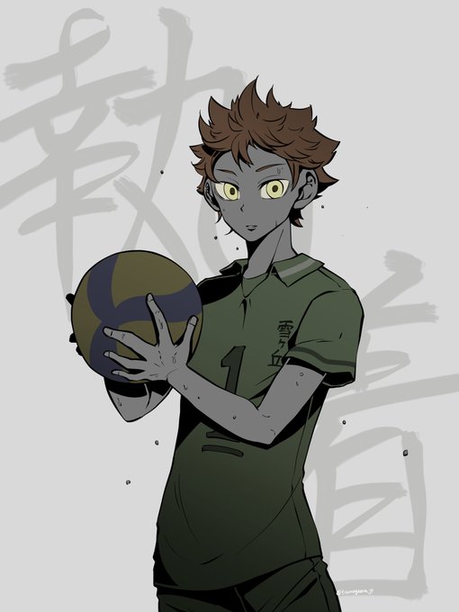 お前の強みは何だ
#ハイキュー #Haikyuu #日向翔陽 