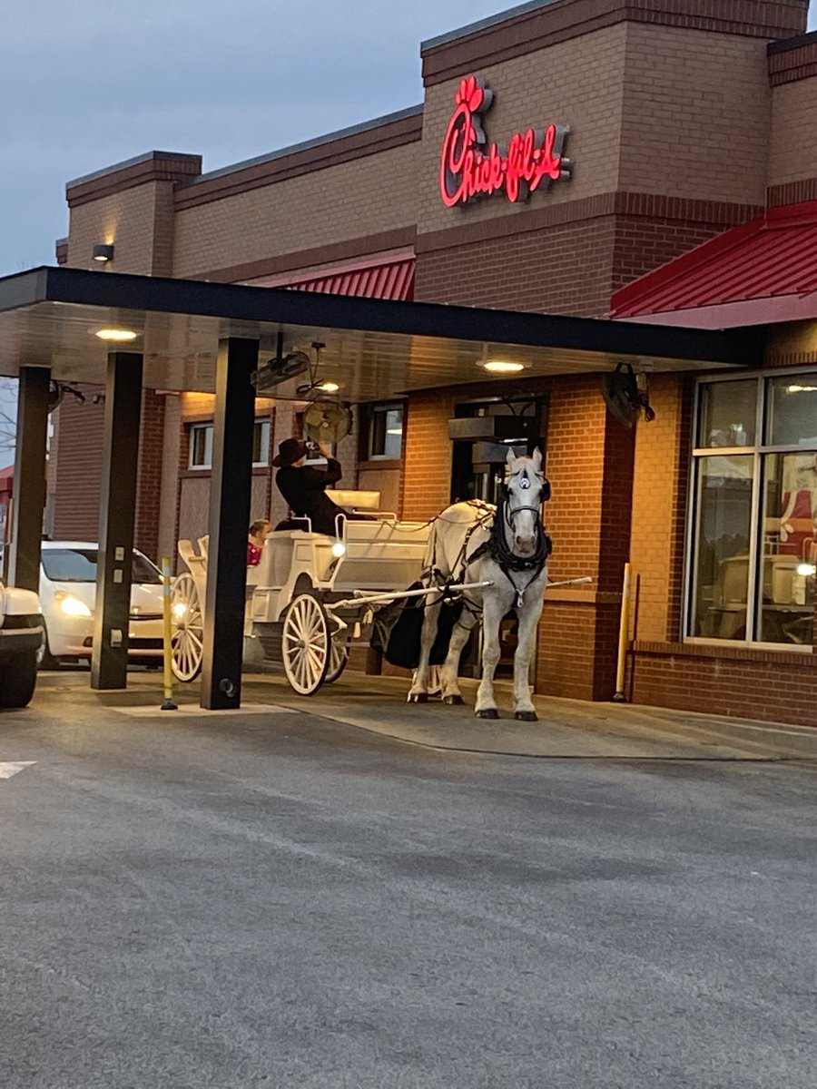 bhightly's tweet photo. @ChickfilA in Hopkinsville had a unique Guest visit the drive-thru this Friday evening! https://t.co/QXjPHcM3iU