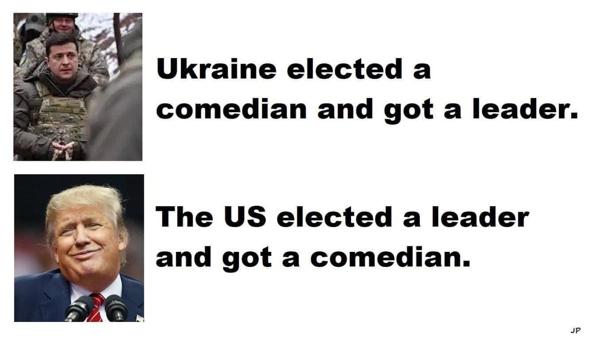 KeanoTheDog tweet media