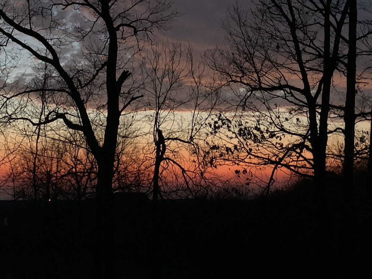 RareCamellia's tweet photo. “Twilight fell: The sky turned to a light, dusky purple littered with tiny silver stars.” - J.K. Rowling
#FortheBeautyoftheEarth #MissouriSunset #afterglow https://t.co/pWQOrYlMC4