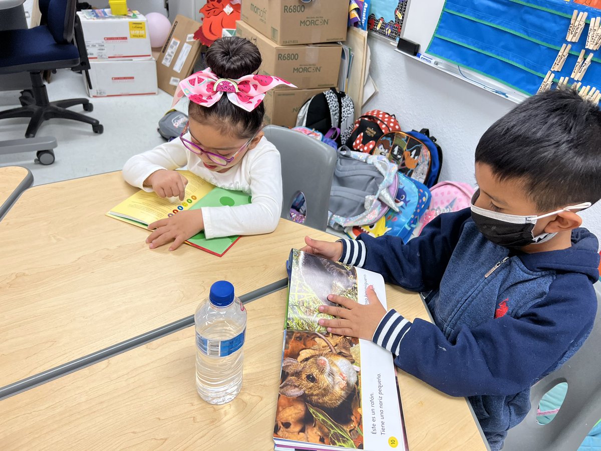 Fernand45811374's tweet photo. Pre-K students brought their books from home and read them in the classroom.  Read Across American. @ECabral_RSE  #WeAreClintISD https://t.co/D76OYEIoYA