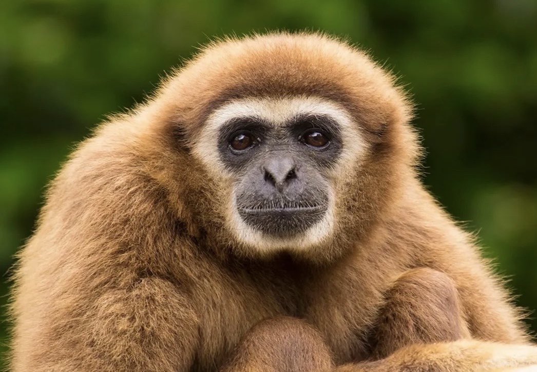 Today was my last day at Microsoft. Leaving such a great team was a difficult decision, but the world outside grows bigger and more exciting each day.

I plan to make a dent on my open browser tabs, catch up on TikTok and pet projects before starting something new this fall.