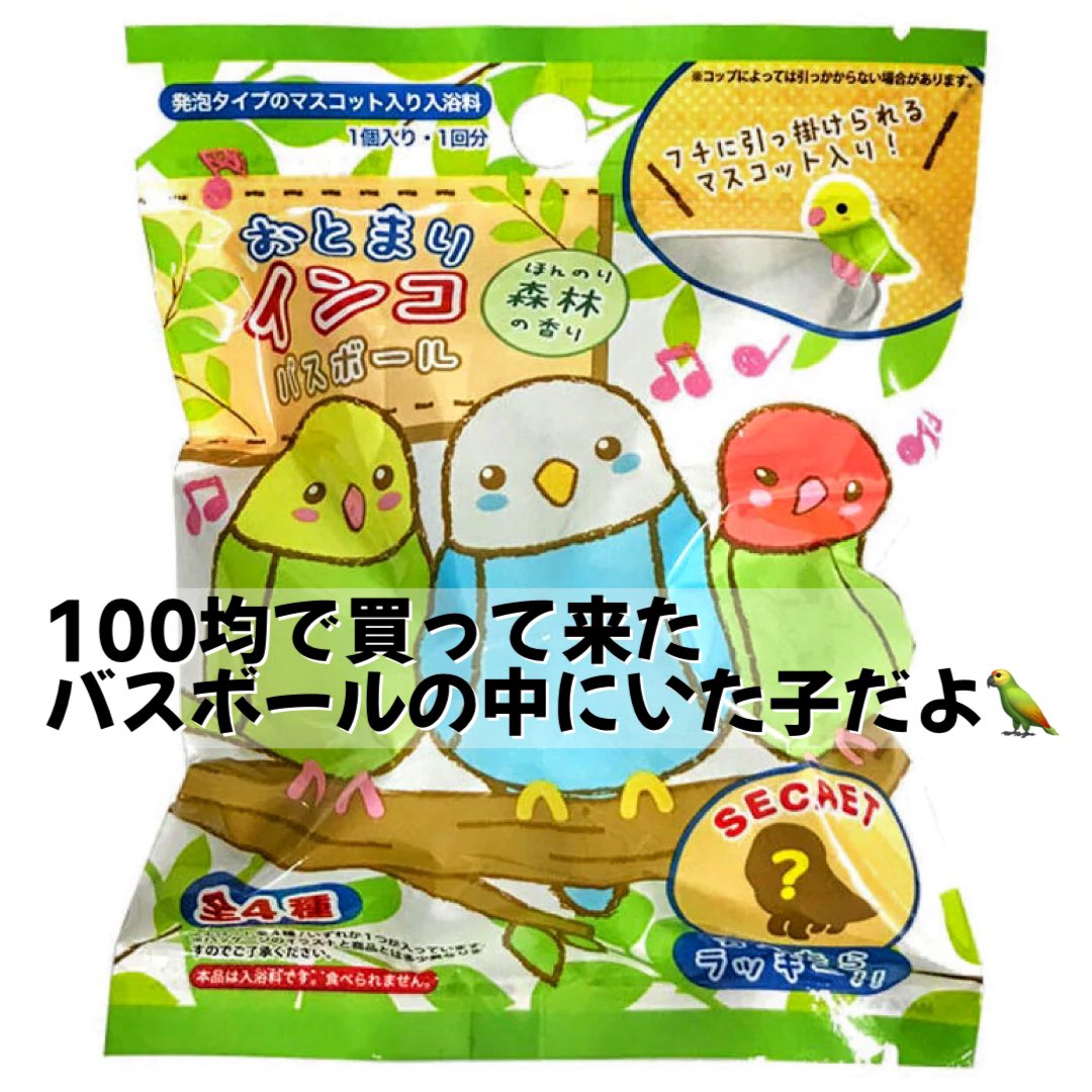 ﾊﾞｽﾎﾞｰﾙ Twitter Search Twitter