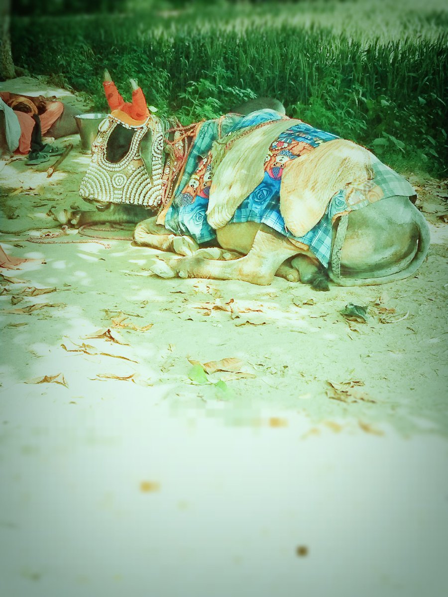 Jai mahakal