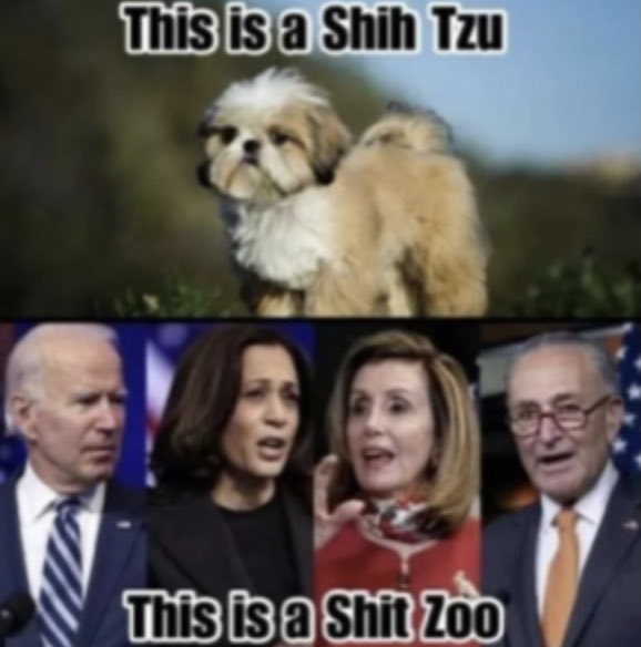 mjean2's tweet photo. ⁦@POTUS45⁩ ⁦@DonaldJTrumpJr⁩ ⁦@PRRepublicans⁩ ⁦@PuertoRicanRep3⁩ https://t.co/zuqxpkHkSU