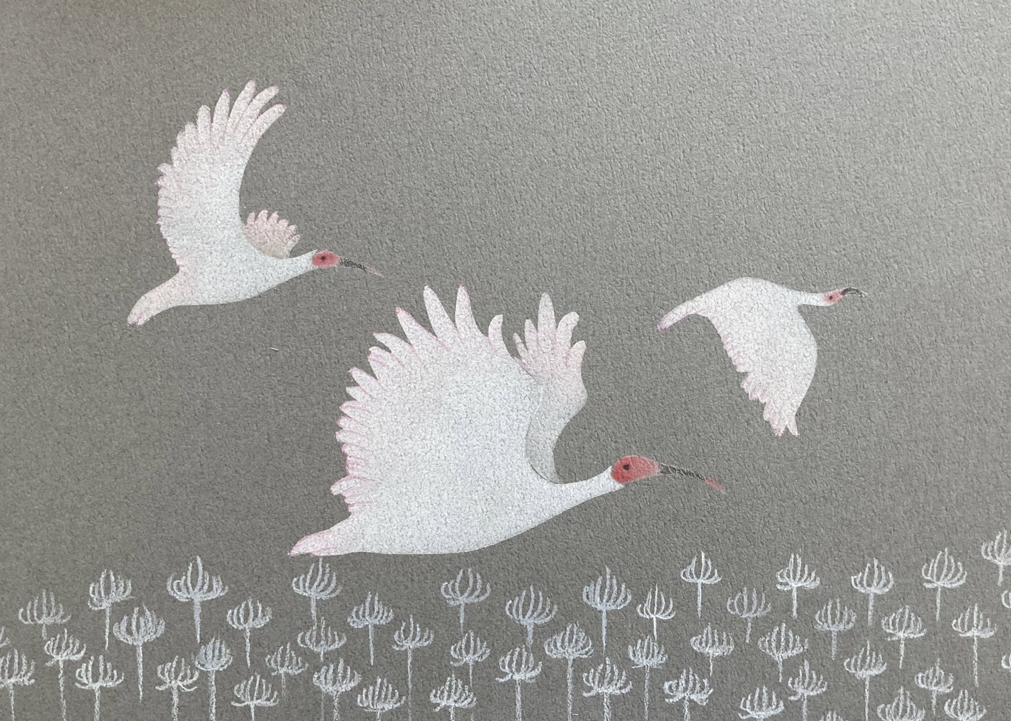 桃戸栗子 鳥の絵 ちなみにこれは桃花鳥 トキ です アルテ企画さんでレンタル作品にしてもらおうかと T Co Vznszngmsu T Co F93jkv7tx3 Twitter