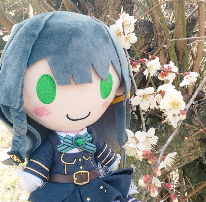 我が家の梅の花が見頃ですー
#ぬいすず #ぬいてつ 