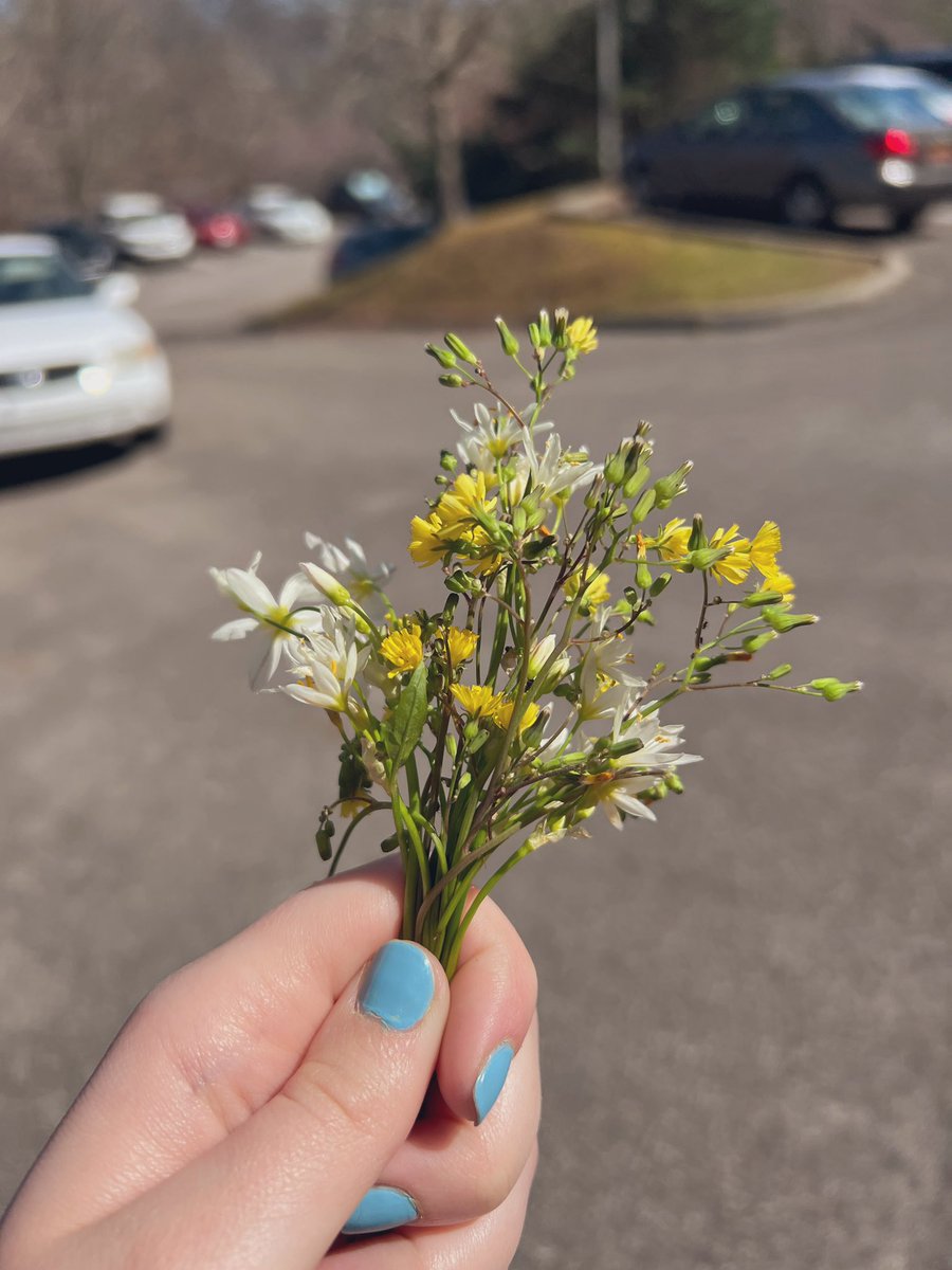 Olivia Sisk tweet media