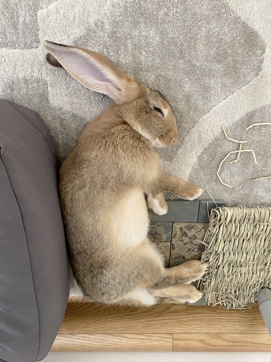 Michael Stepner tweet media