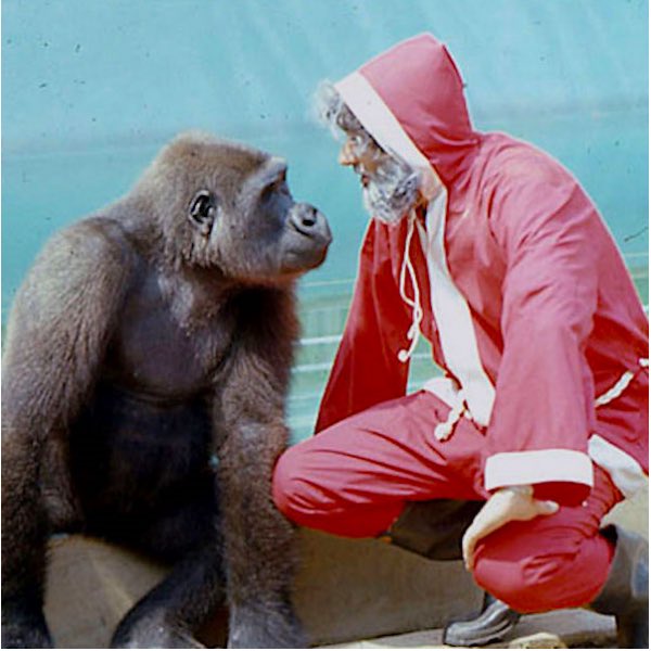 Gbénró Adégbolá ن on Twitter "He got married to Lois Patricia Hauser