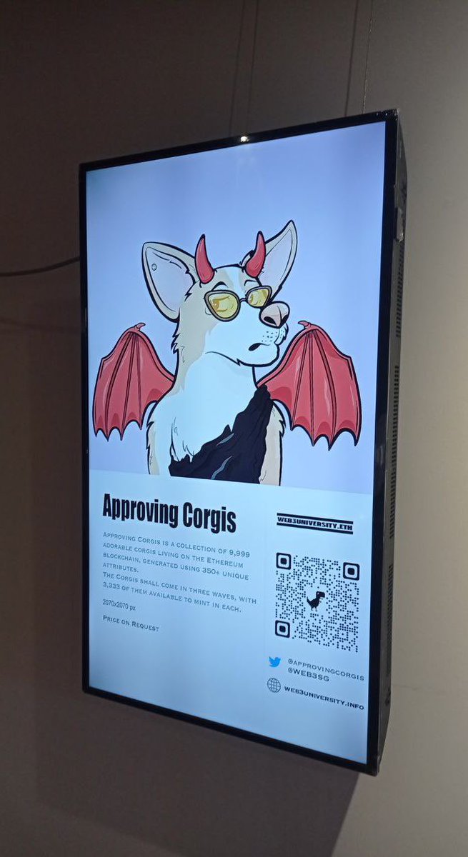 Approving Corgis 🐶🐾 tweet media