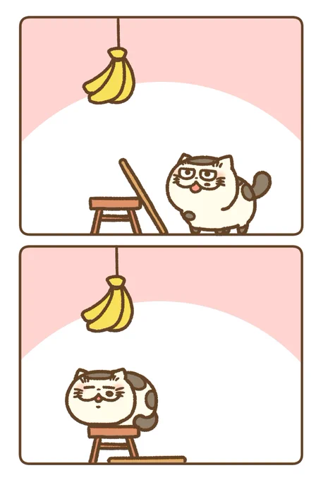 ばにゃにゃと棒とふくまる
見切ったにゃ! 
