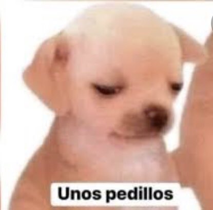 mandytula1's tweet photo. #CocinaZombie cuando me preguntan por que saliste con mandil negro? https://t.co/67DMcOYUSF