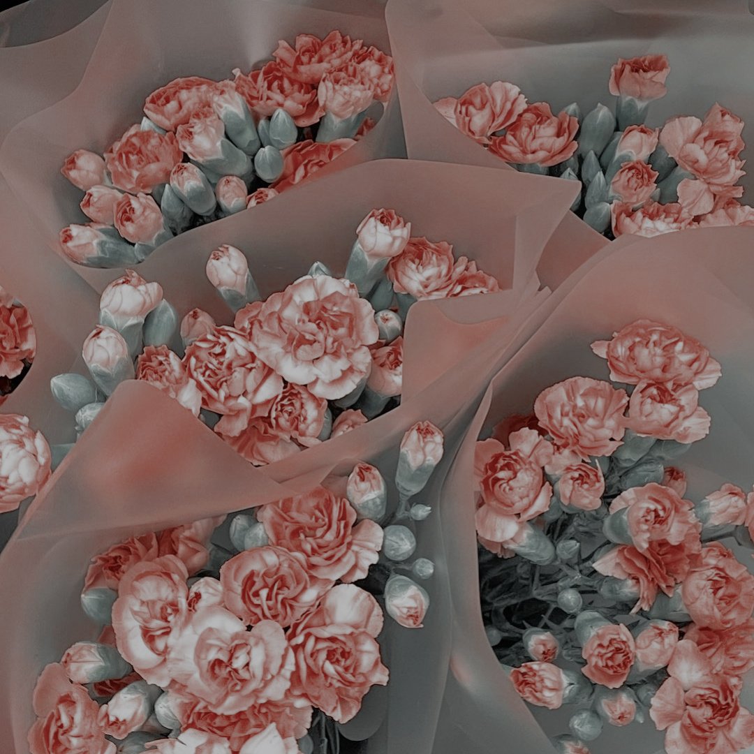 ᅠ
ᅠ
ᅠᅠ
ᅠ

         * ‍ ˖. 💌 𓂃 𝒊𝙽𝚂𝚃𝙰𝙶𝚁𝙰𝙼  𝒑𝙾𝚂𝚃
⠀     
           ﹫𝗹𝗮𝗻𝗮𝘁𝘂𝗿𝗻𝗲𝗿  ›  sᴀɪᴅ :
            ، ، monday dump for u!!!
                hope u have a lovely
                week angels 💘💘💘
           ───────────
⠀