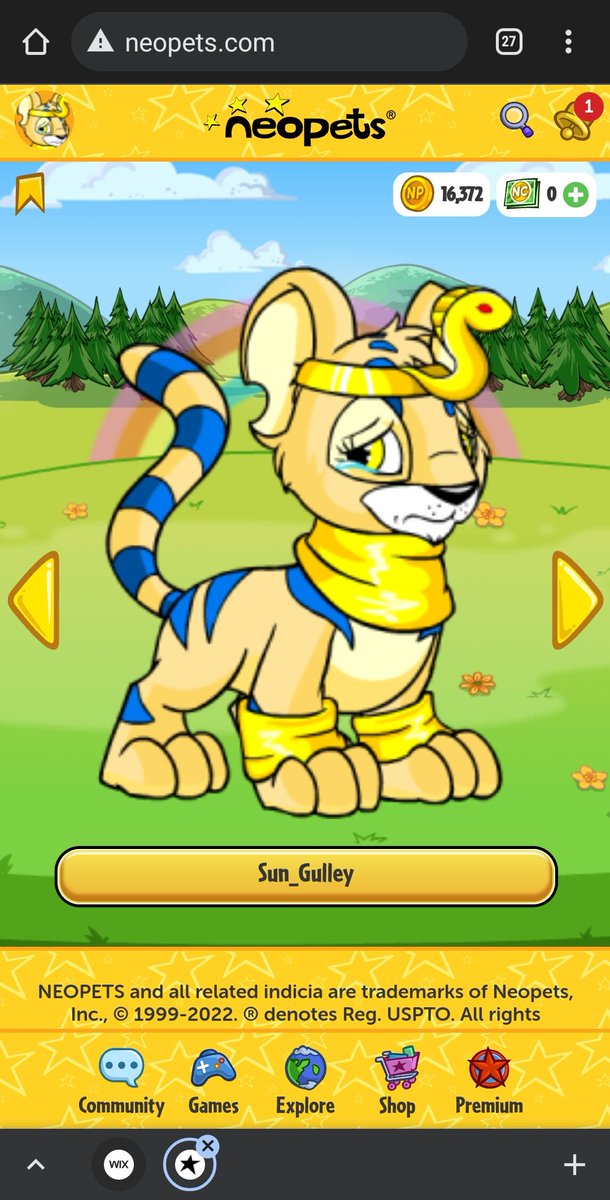 MissMegzie's tweet photo. #BREAKINGNEWS after years of thinking it was lost forever, I just regained access to my original #NeoPets Account! My poor pets were sad and starving! Thank you @Neopets customer service for making me a happy preteen all over again! Off to get some #omlets to feed my babies! https://t.co/lYVdIMd7Pk