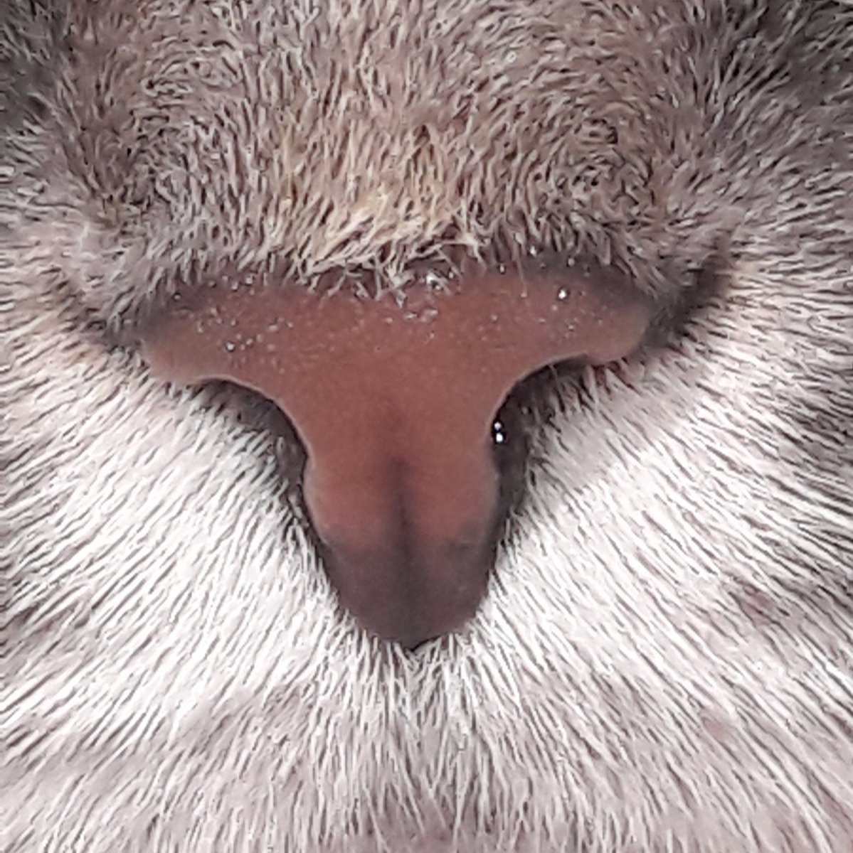 #НоваяАватарка