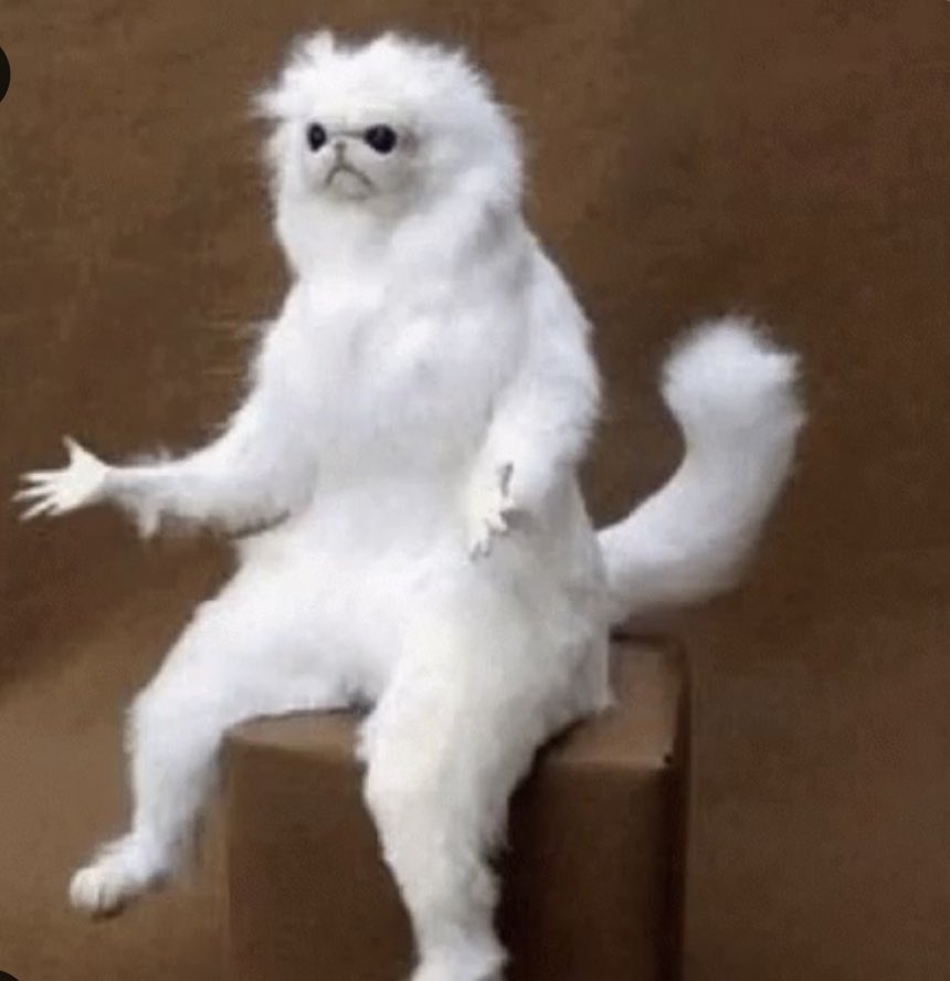 мем чучело кота. белоснежные существа. человекоподобные существа. дракон арт. мифические волки.