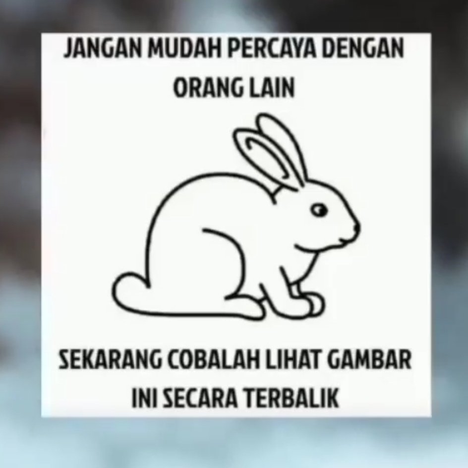 KucengTerbanggg's tweet photo. https://t.co/8BQKb53nsx