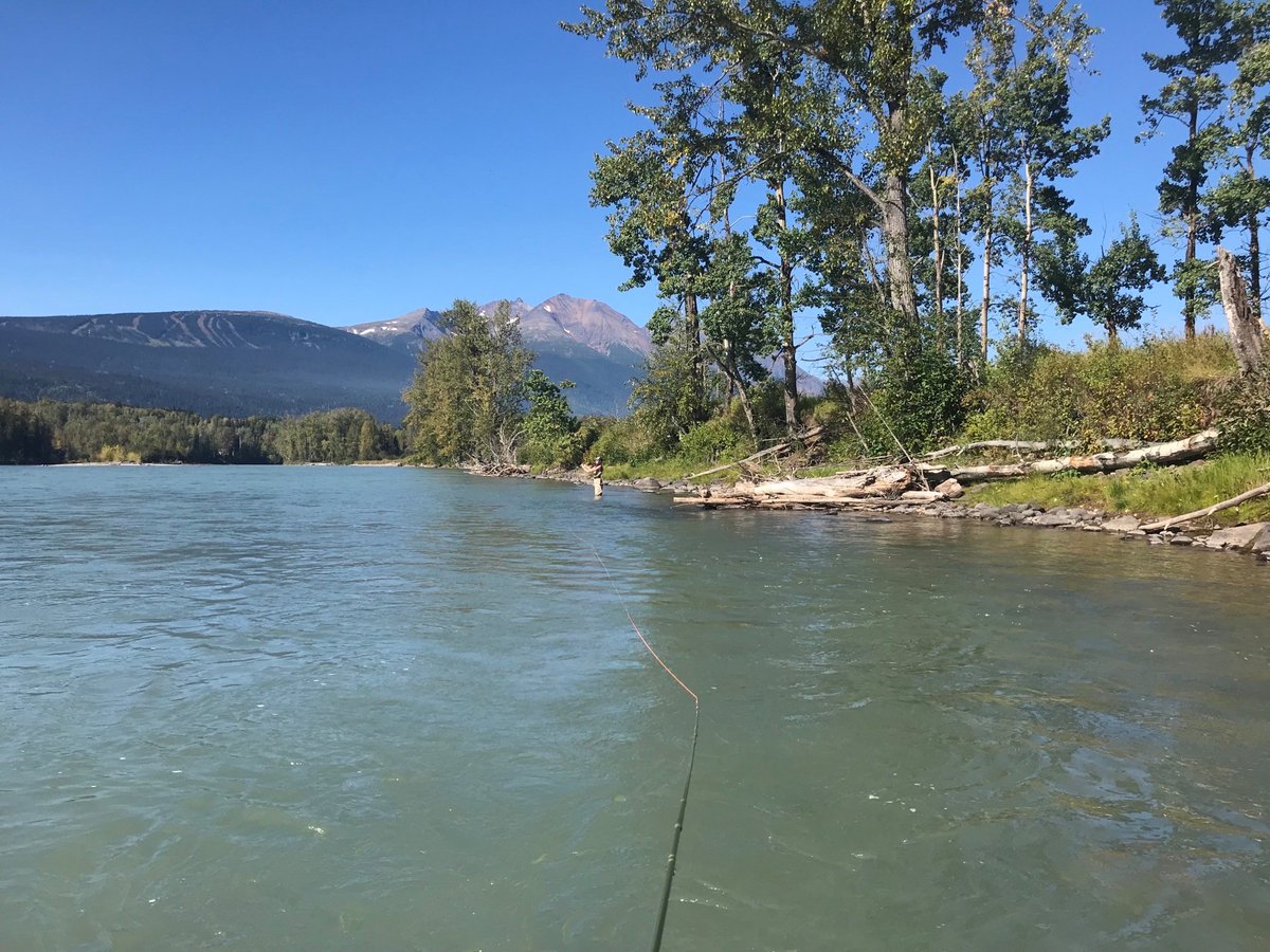 _BCCOS's tweet photo. Court Case | An #Ontario man has been fined $1,000 for making a false statement to obtain a fishing licence.
The individual was checked by Conservation Officers in #Smithers during angling patrols along the #Bulkley River last fall.
https://t.co/Q4LivypLFM #BCCOS https://t.co/0TSb4GmKdq