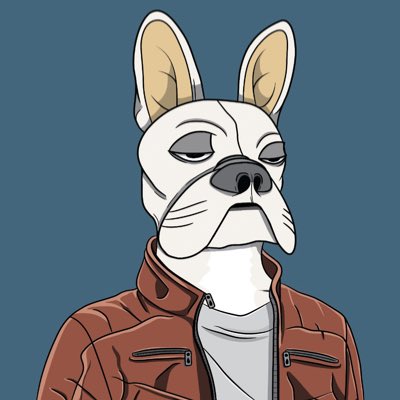 Orange.BFIC tweet media