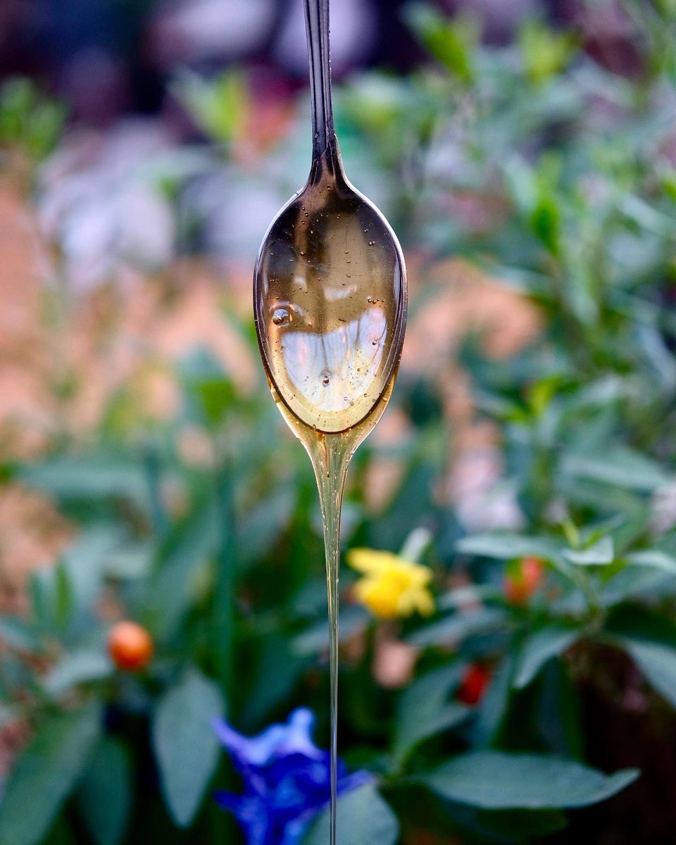 HCSourdoughPizza tweet media