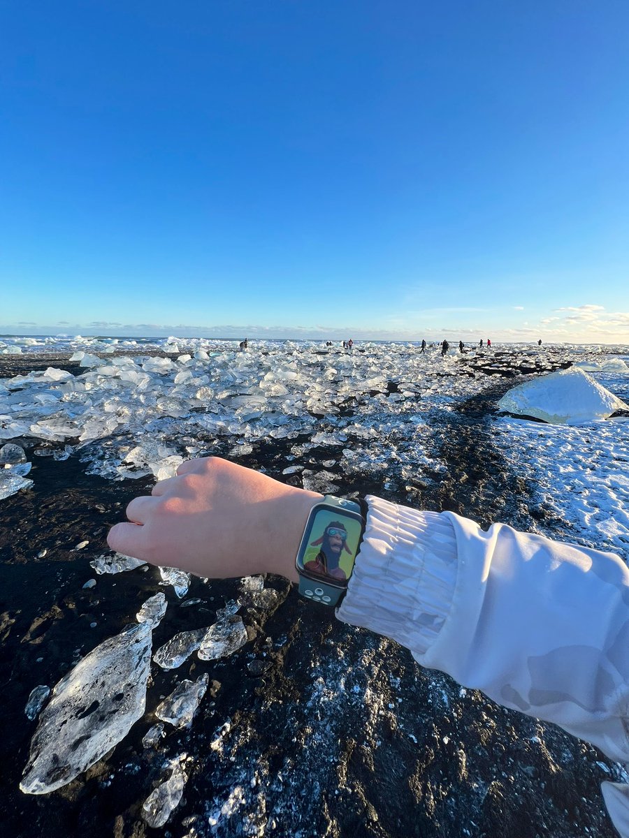 anmac_eth's tweet image. Hello hello from Iceland 🧊🦙🦙