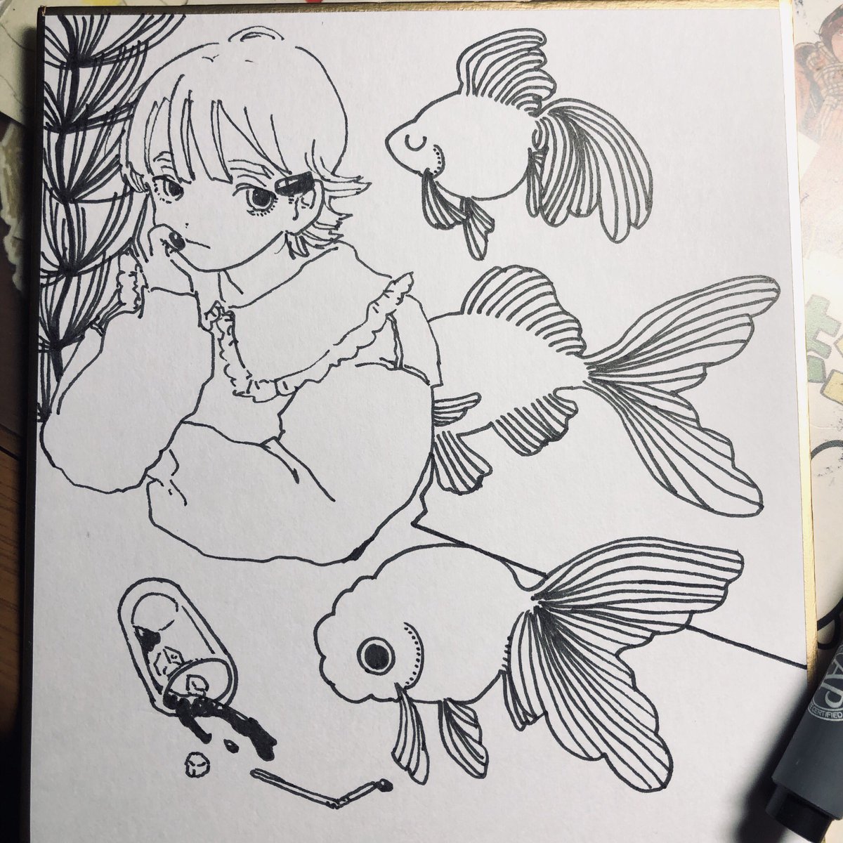 色紙… 