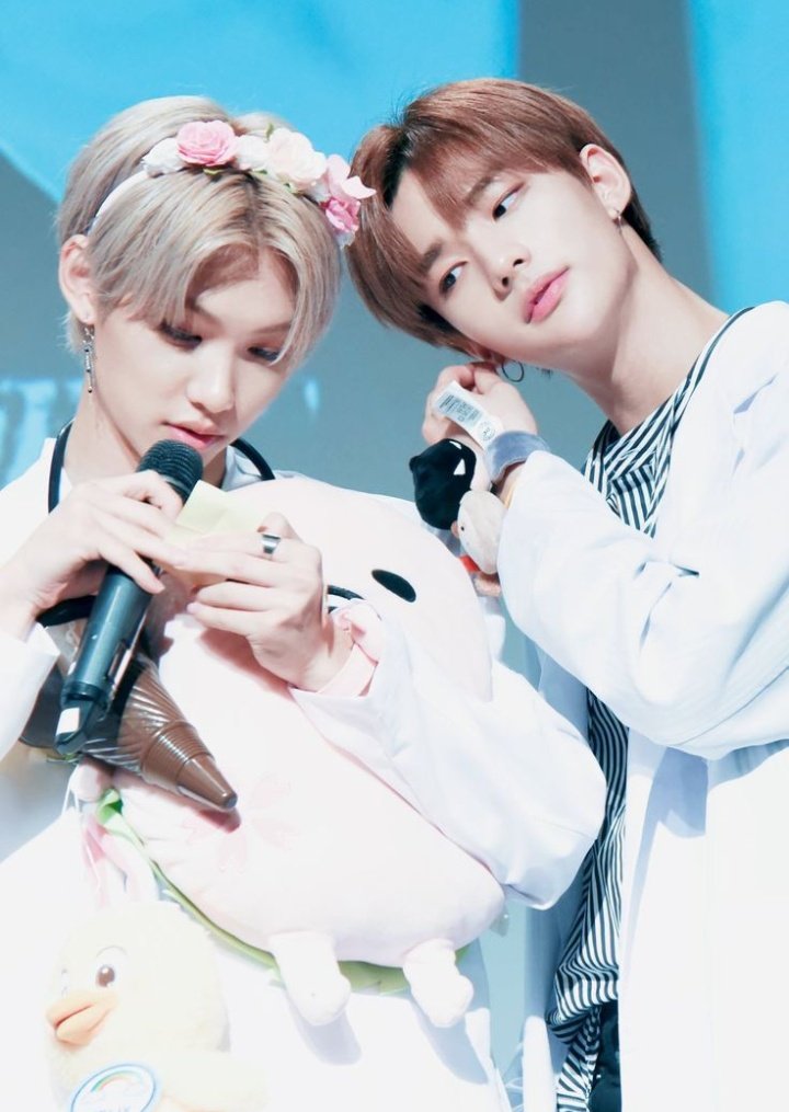 stz'ye göre straykids