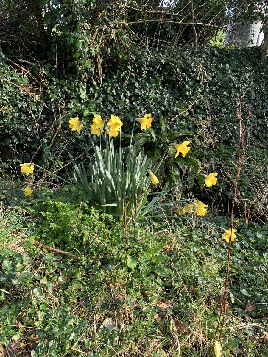 CorinneActor's tweet image. Amazing day at Michel-Le-Pit in @ValeofGlamorgan with my lovely sis #TimeforCare