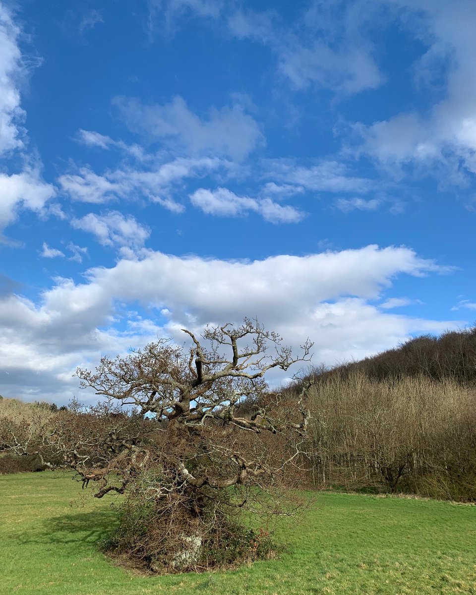 CorinneActor's tweet image. Amazing day at Michel-Le-Pit in @ValeofGlamorgan with my lovely sis #TimeforCare