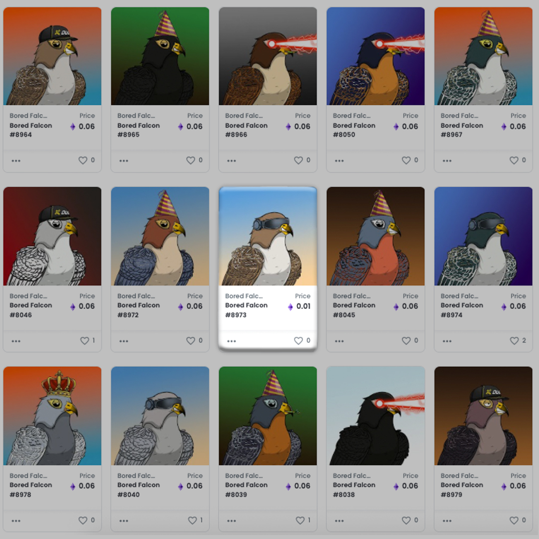 تضمن مجموعة "صقر ضجر" تمثيل منطقة الشرق الأوسط في عالم الـ"أن أف تي". كما نوّد أن نجعل الرموز غير القابلة للاستبدال متاحة للجميع، لذلك سيتم إتاحة بعض الرموز مقابل 0.01 ETH.