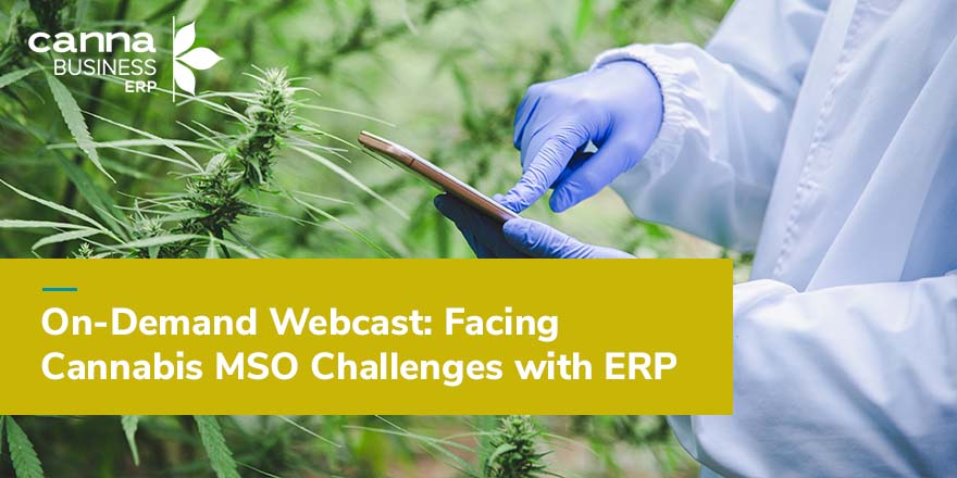NCIAorg's tweet photo. Running an MSO can be challenging, especially as MSOs move their operation to states that have recently legalized cannabis. In @cannabiserp's webcast, you’ll learn best practices tailormade for MSOs. Watch the webcast here: https://t.co/CZmpPzHXbf #MemberMessage #cannabisindustry https://t.co/ti5t2JMeXd