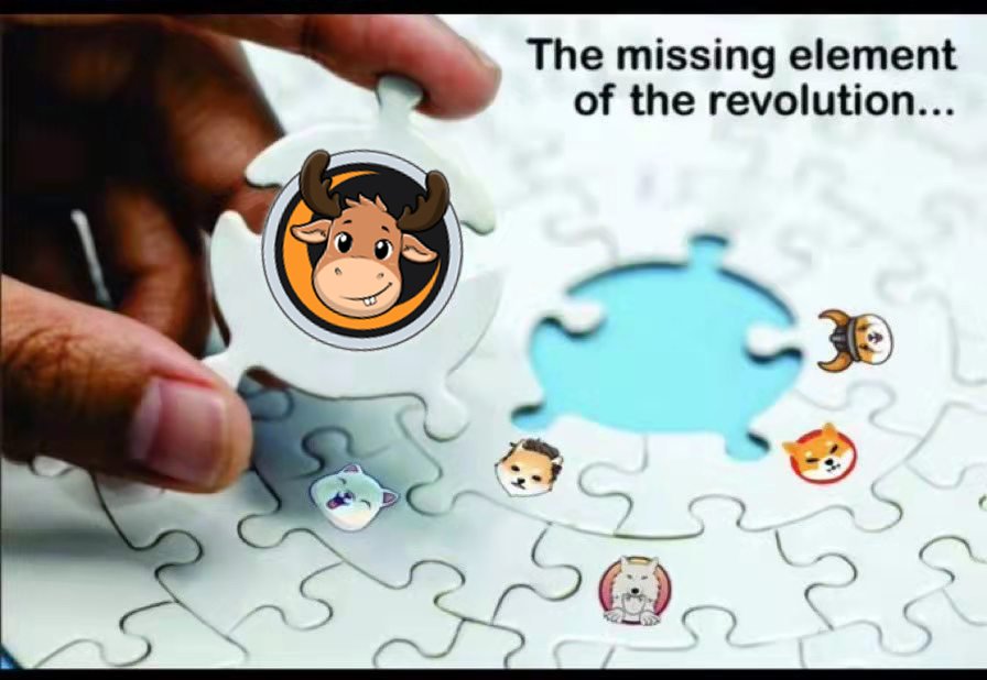 LittleMoose (LMOOSE) Coin Global Community Army tweet media