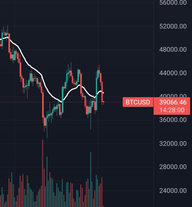 Luca Coluccio tweet media