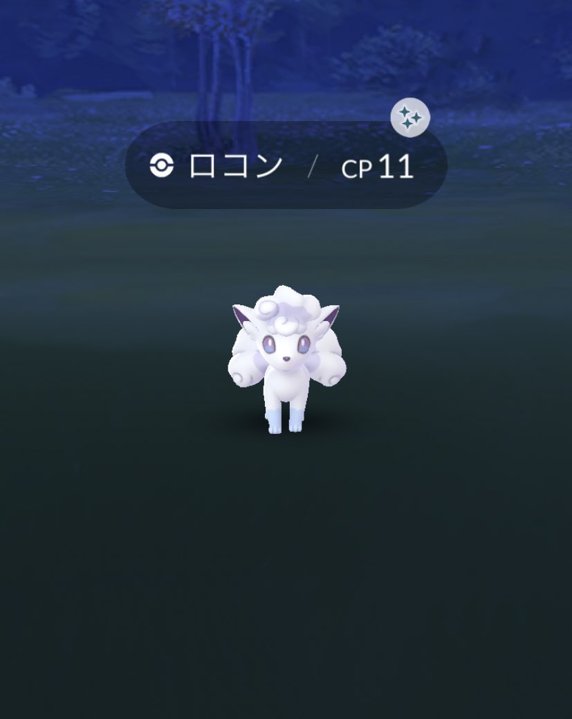 𝖬𝖮𝖬𝖨紫 仕事多忙 Momi Twitter