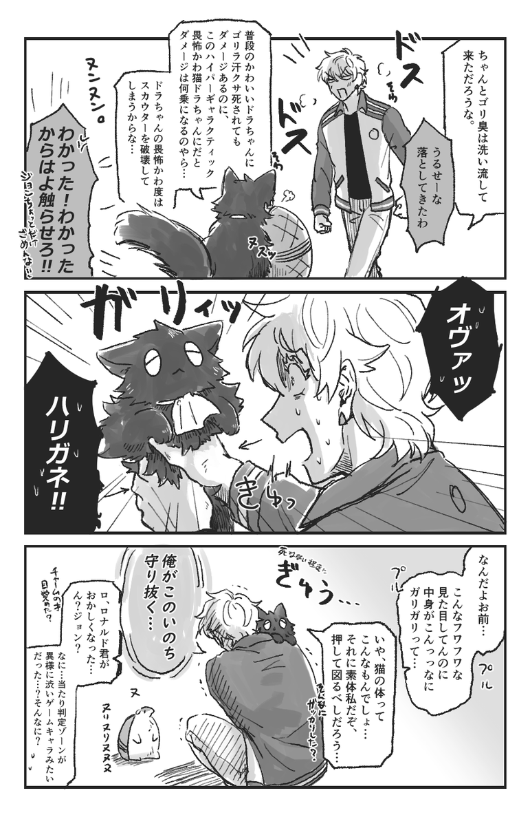 ※ドちゃんがネコ化の己向けロナドラ(多分)※ 