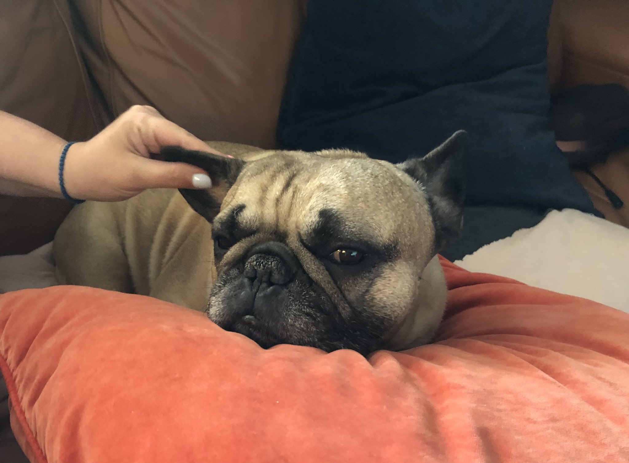 FNEAL2sXIAAqyAb?format=jpg&name=large