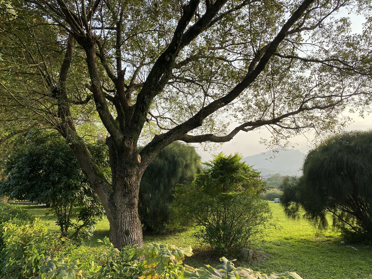 Ingrid Hsing tweet media