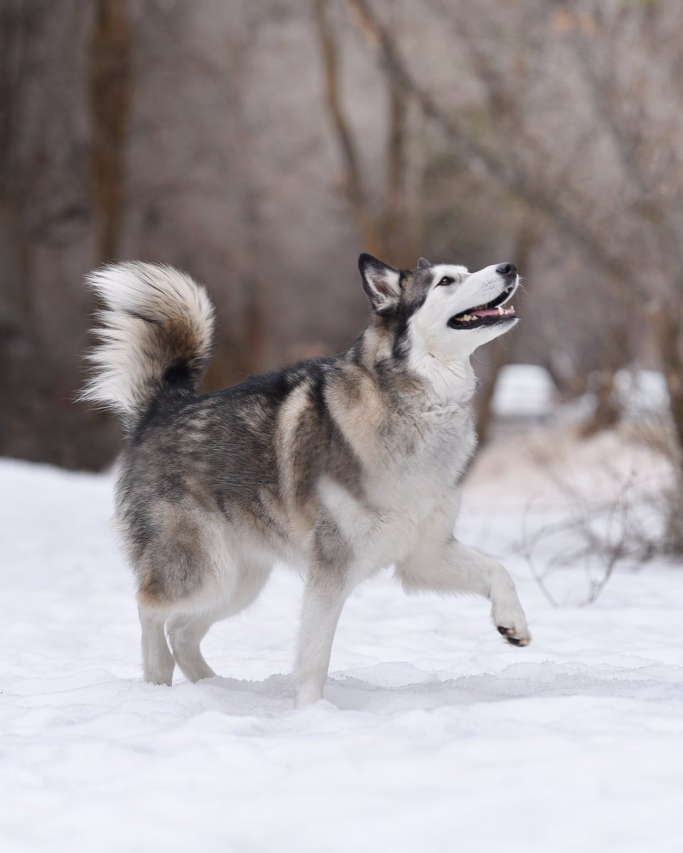 Nila Blu tweet media