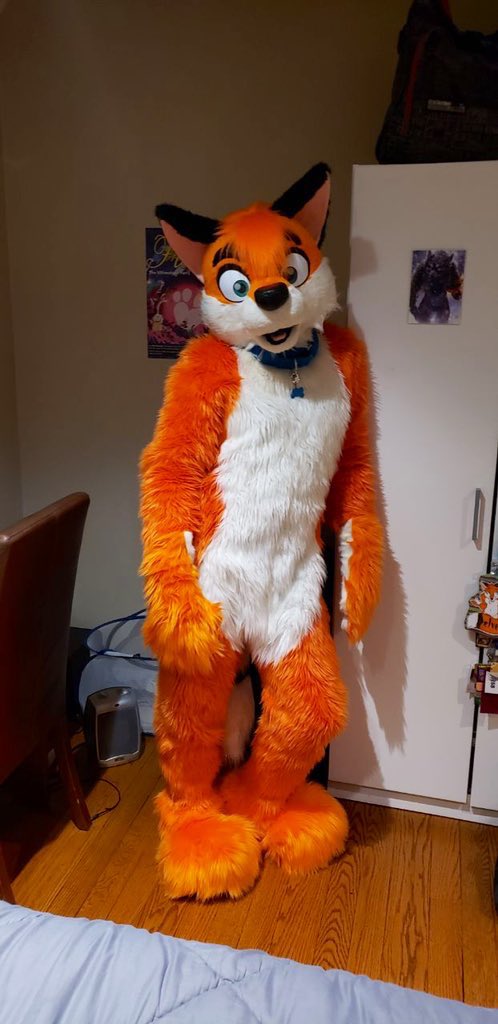 Creamstuffedfox's tweet photo. @SushiOtter https://t.co/DKHfPWfVT4